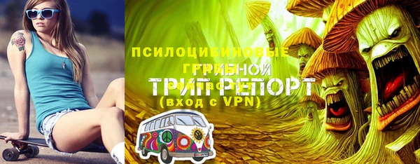 трава Нестеровская