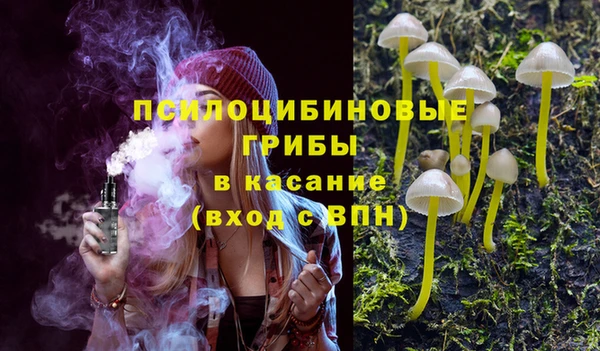 стафф Покачи