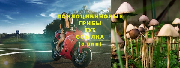 соль курить ск Пестово