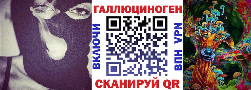 Псилоцибиновые грибы Psilocybine cubensis  Таштагол 